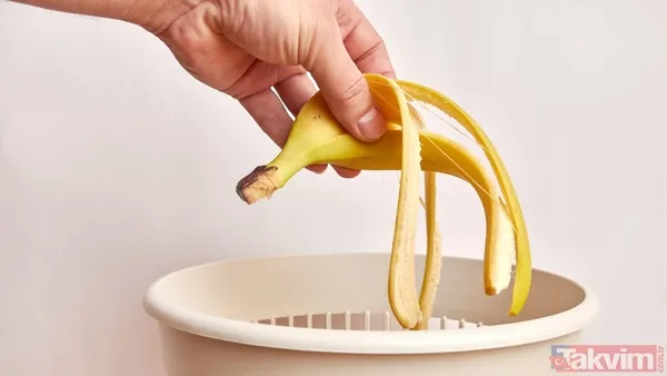 Muz Kabuğu Orkideleri Çiçeklendiriyor 🌺 Muz Kabuğu, İçeriğindeki Potasyum, Fosfor Ve Diğer Mineraller Sayesinde Orkidelerin Çiçek Açmasını Hızlandırmakta...