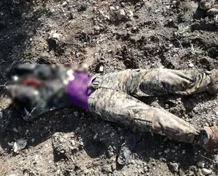 NYT’nin yalan haberini Mehmetçik tek kareyle çökertti