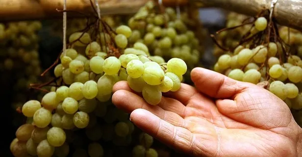 Üzüm şifa dağıtıyor! İşte hem tadı hem kokusuyla mutluluk veren üzümün faydaları...