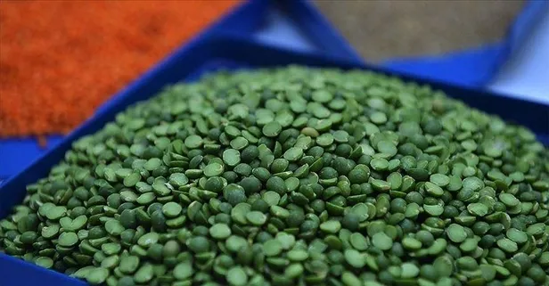 Demir deposu yeşil mercimek kansızlıkla savaşır ve diyabeti önler