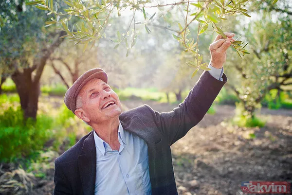 Rüyada amca ile kavga etmek, amcaya sarılmak hayırlı mıdır? Rüyada amca görmek ne anlama gelir? - 7