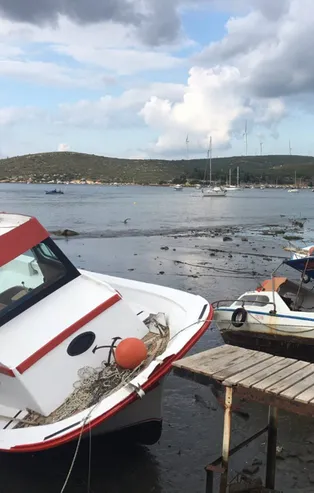 Son dakika: İzmir'de deprem sırasında gelgit oluştu, tekneler sürüklendi