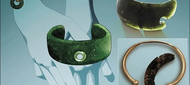 Bilim adamları şaşkın! Tam 40 bin tane...