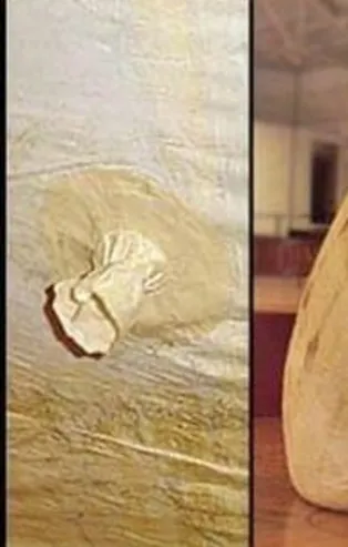 Ülkelerin gizli silahları!