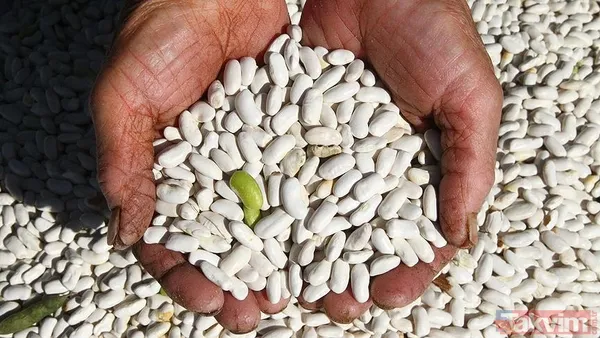 Vatandaş sepetini ucuza dolduracak! Tarım Kredi Marketlerinde indirim başlıyor - 15