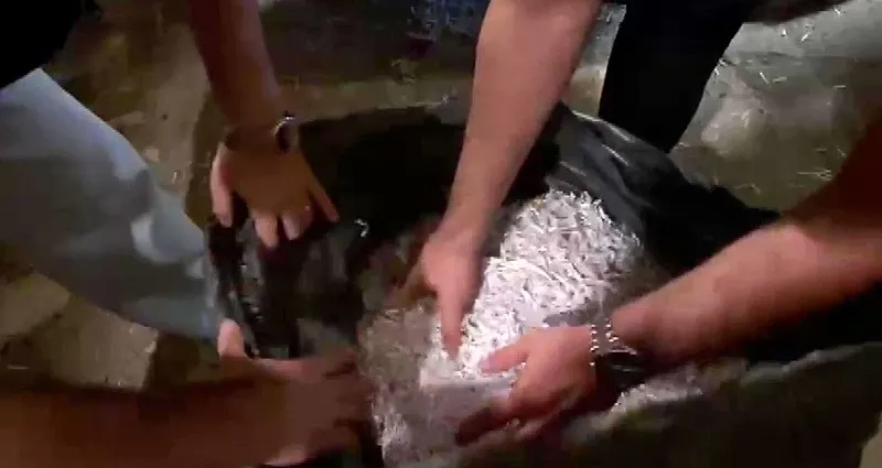 alihan-kuris-sorusturmasinda-kritik-baskin-imha-edilen-evraklar-bulundu-1786775162709.jpeg Alihan Kuriş soruşturmasında kritik baskın! Parçalanan evraklar bulundu-5