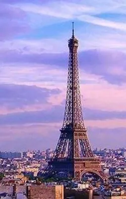 Paris'te ırkçı uygulama