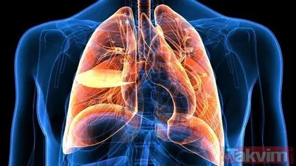 Akciğer kanserinden koruyan 6 altın kural!