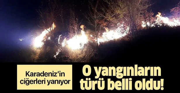Karadeniz'deki orman yangınları ile ilgili açıklama