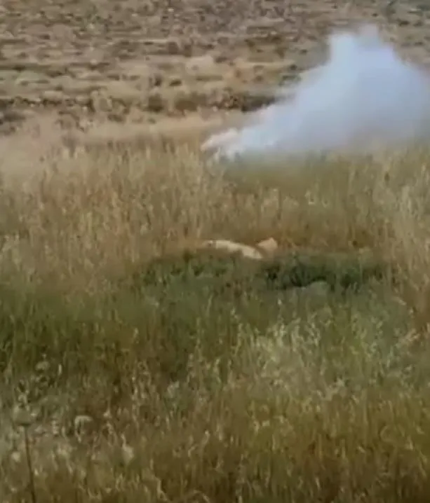 filistin-bayragini-tekmeleyen-israilli-yerlesimciye-bomba-soku-itamar-ben-gvir-talimat-vermisti-bayragi-kaldir-1713686928920.jpeg Filistin bayrağını tekmeleyen İsrailli yerleşimciye bomba şoku! Itamar Ben Gvir talimat vermişti: Bayrağı kaldırmaya çalışırken havaya uçtu-2