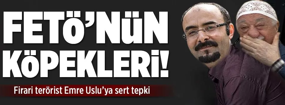 Bakan Bozdağ'dan FETÖ'cü köpeklere sert tepki