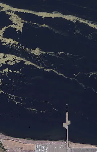 Marmara Denizi'ndeki müsilaj felaketi uzaydan görüntülendi!