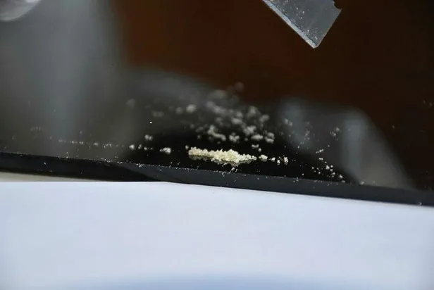 Arının balı da şifa, zehri de şifa: Kilosu 500 bin Türk Lirası!-5