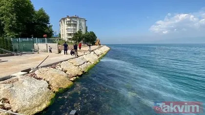 Marmara Denizi’ne akan beyaz sıvı ne? İzmit Körfezi için harekete geçildi!