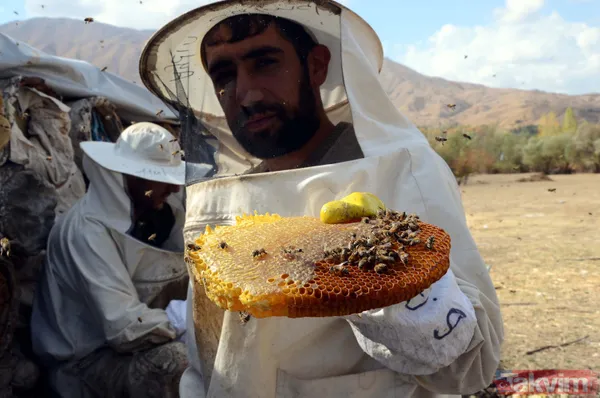 Kilosu 350 TL! 3 bin rakımda üretilen karakovan balından bu yıl 250 ton bekleniyor - 7