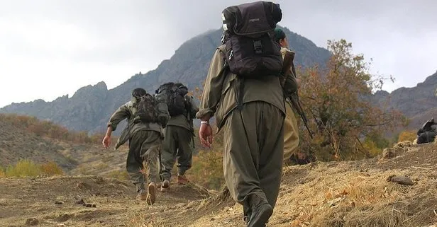 Son dakika: PKK’da çözülme sürüyor! 4 terörist daha teslim oldu