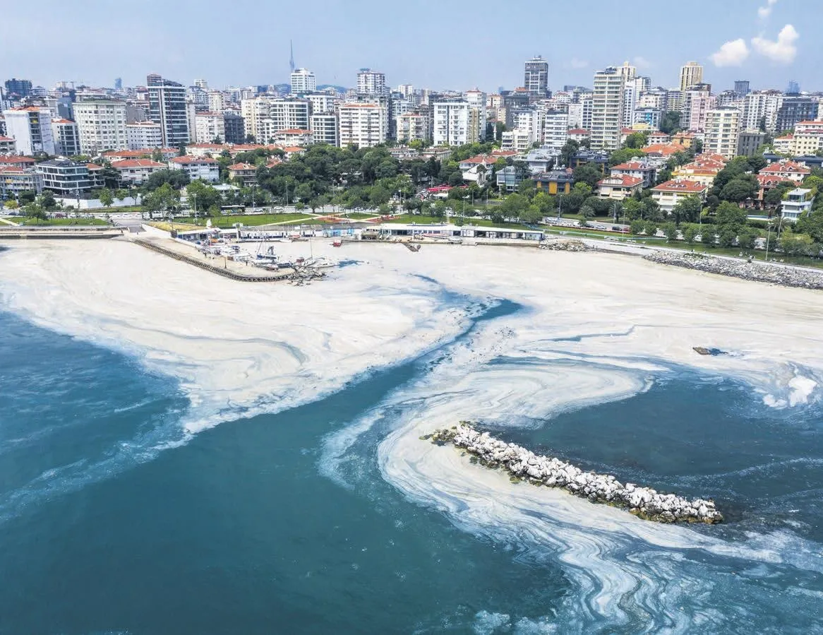 Altı üstü felaket