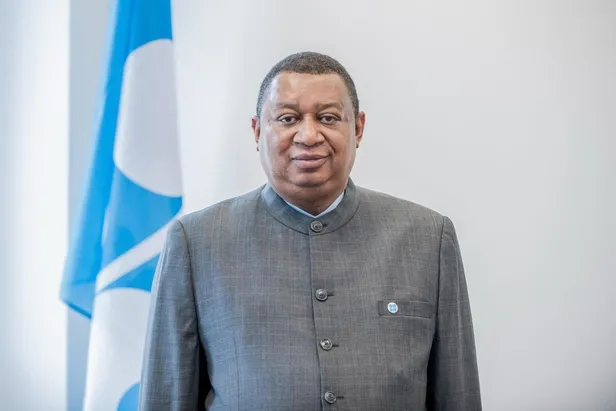 opec-genel-sekreteri-muhammed-sanusi-barkindo-hayatini-kaybetti-1657097867224.jpeg OPEC Genel Sekreteri Muhammed Sanusi Barkindo hayatını kaybetti-2