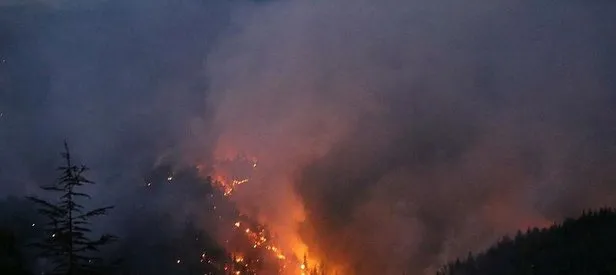 Antalya’daki orman yangınıyla ilgili flaş açıklama