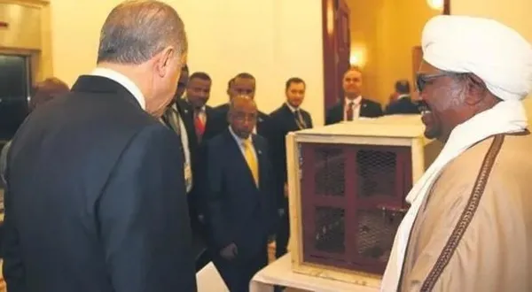 sudanli-mevkidasi-hediye-etmisti-baskan-erdoganin-aslani-dorduz-dogurdu-1685463751389.jpeg Sudanlı mevkidaşı hediye etmişti: Başkan Erdoğan’ın aslanı dördüz doğurdu!-2