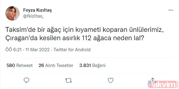 Gezici tayfa ve sözde çevrecilerin ikiyüzlülüğü! CHP'li İBB'nin ağaç katliamı karşısında dilini yuttular: Tepkiler çığ gibi - 3