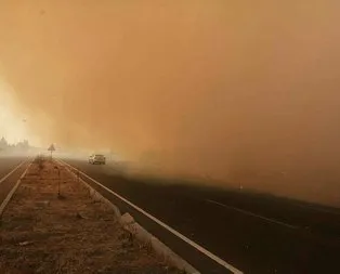 İzmir’de orman yangını