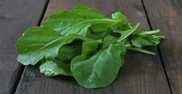 C vitamini deposu roka her derde deva!