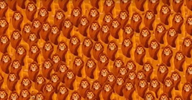 Aslanların arasındaki farklı hayvanı bul! 10 saniyen başladı