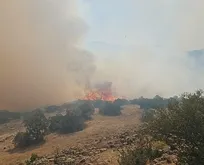 Balıkesir’in Kesput ilçesinden iyi haber: Orman yangını kontrol altına alındı