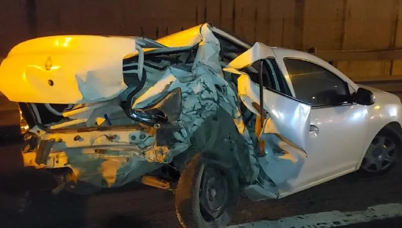 Son dakika: TEM Otoyolu'na giren başıboş sokak köpeği zincirleme kazaya neden oldu: 1'i bebek 12 yaralı-3