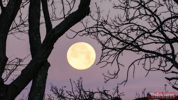 Yeni Ay'ın Enerjisiyle Birlikte Fırsatlar, Duygular Ve Hayat Yönü Yeniden Şekillenmeye Başlıyor. Peki Yeni Ay Nedir? İşte Burçlara Etkileri…