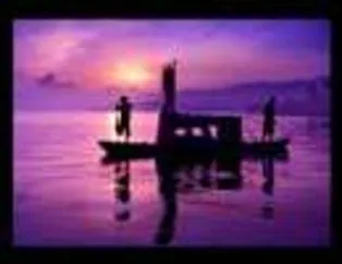 Çalışan İnsan Profilleri - 2