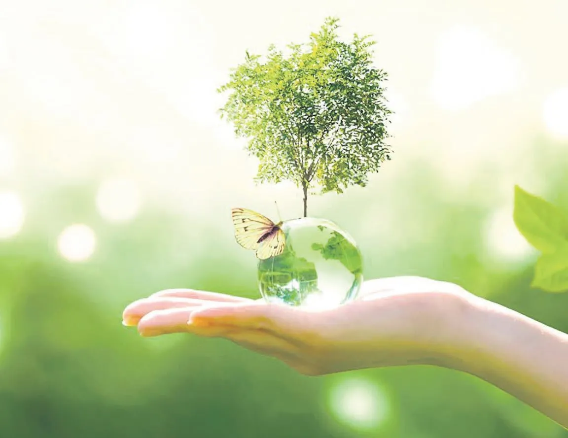 Sürdürülebilirliğe en büyük destek finanstan