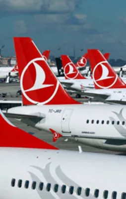 İki büyük şirket daha Varlık Fonu'nda