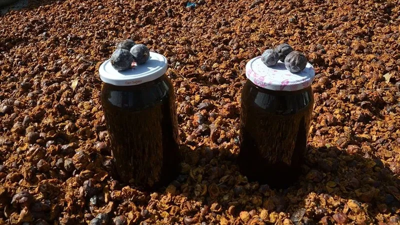 canan-karatayin-onay-verdigi-diyet-sirri-ne-odem-birakiyor-ne-de-yag-1727543369696.jpg Andıç pekmezi (AA)