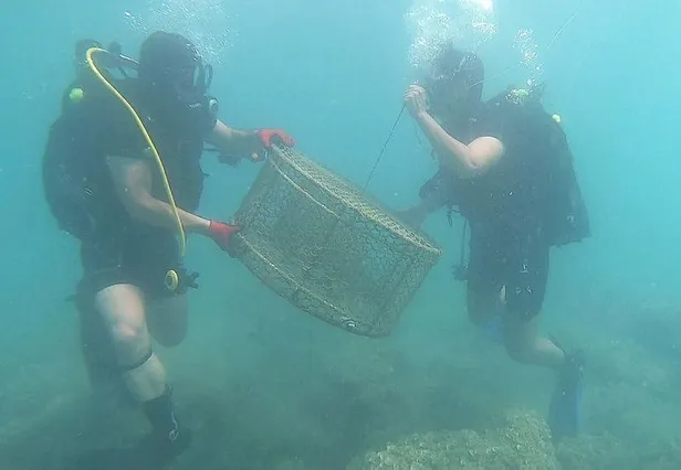 Son dakika: Hatay'da yasa dışı balık avlayan 3 kişiye 13 bin lira ceza-2