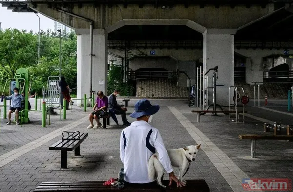 Güney Kore köpek eti yemeyi yasaklıyor! Her yıl 1 milyon adet katlediliyor - 11