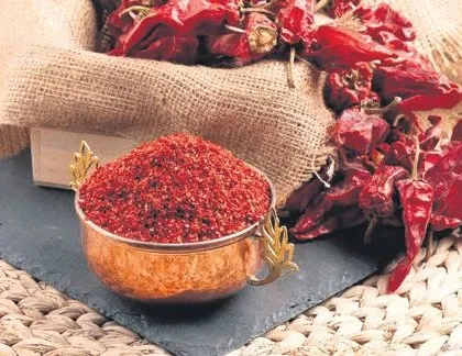 100 ülkeye pul biber yolladık