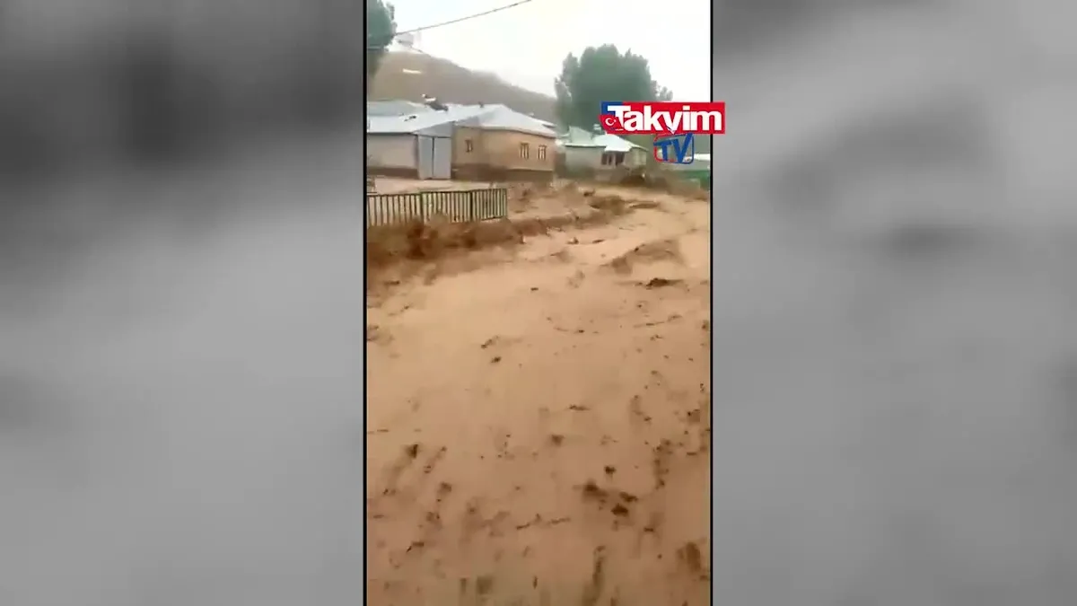 Van sele karşı koymaya çalışıyor