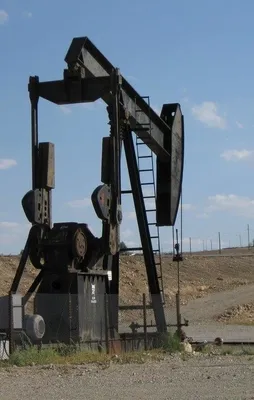 O ilimizde petrol bulundu!