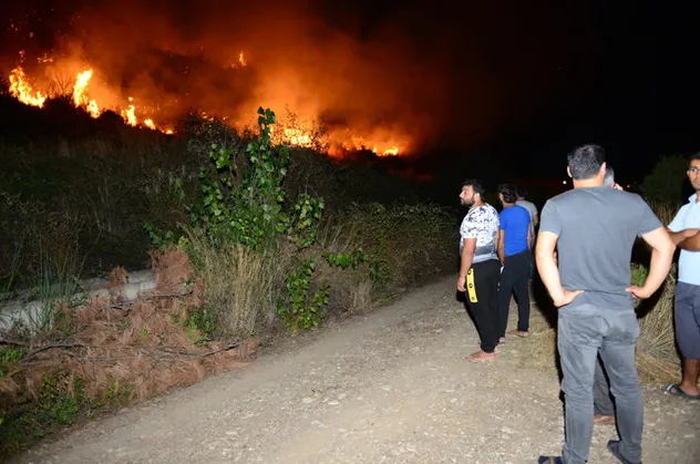 Son dakika: Antalya'da makilik alanda yangın