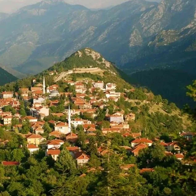 ’Köy’kütük aşk!