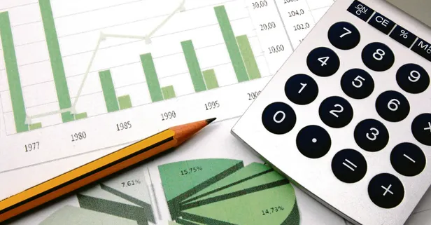 Ekim ayı enflasyonu ne zaman açıklanacak 2024? Kasım ayı kira zammı ne kadar olacak?