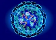 Koronavirüs belirtileri nedir? Dikkat edilmesi gerekenler neler?