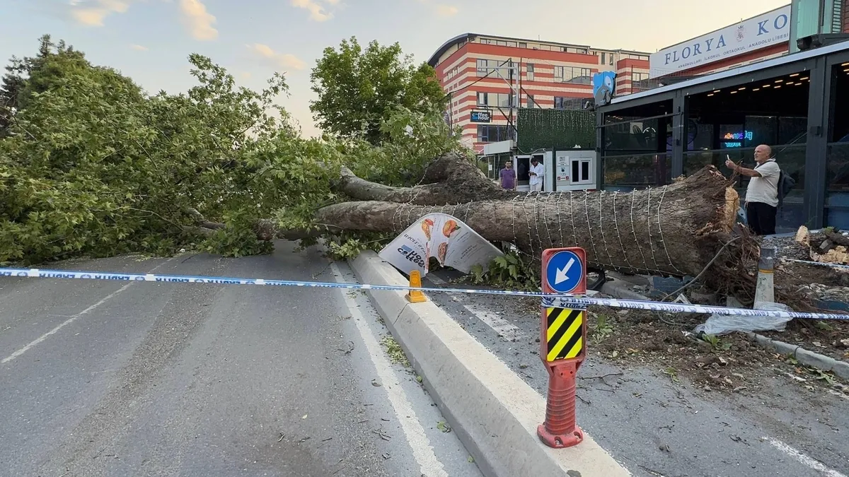 Meteoroloji uyarmıştı: İstanbul'da fırtına etkili, uçaklar iniş yapamadı