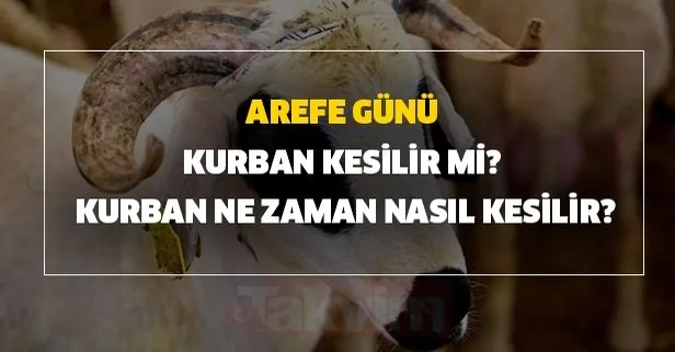 Kurban Ne Zaman Nasil Kesilir Kurban En Son Ne Zaman Kesilir Arefe Gunu Kurban Kesilir Mi Takvim