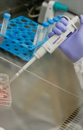 Koronavirüs tedavisinde yeni umut ışığı! Yakın zamanda uygulanabilir