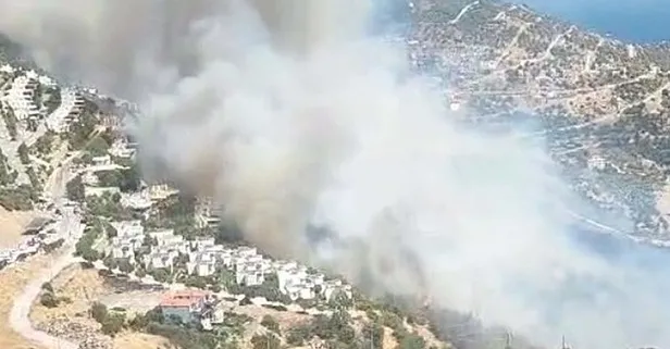 İzmir Dikili'de orman yangını | SON DURUM