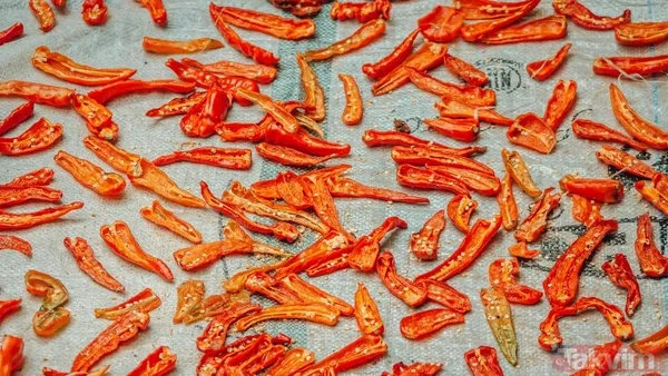 Biberlerinizi küflenmeden kurutun! Karatay’dan kış hazırlığına doğal çözüm - 2