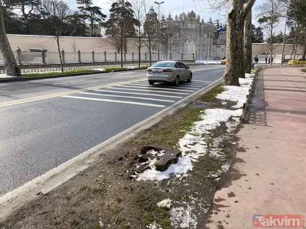 İBB'nin Çırağan'daki ağaç katliamının raporu açıklandı! Bilimsel çalışma yapılmadığı ortaya çıktı - 15